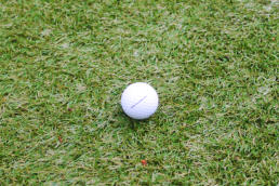 Tourgreen FAIRWAY-RASEN